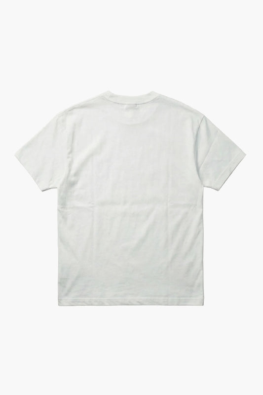 White t-shirt back on a white background